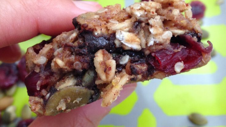 Chewy Protein Bar